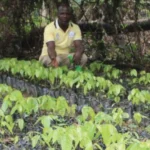 Ojaja Farm